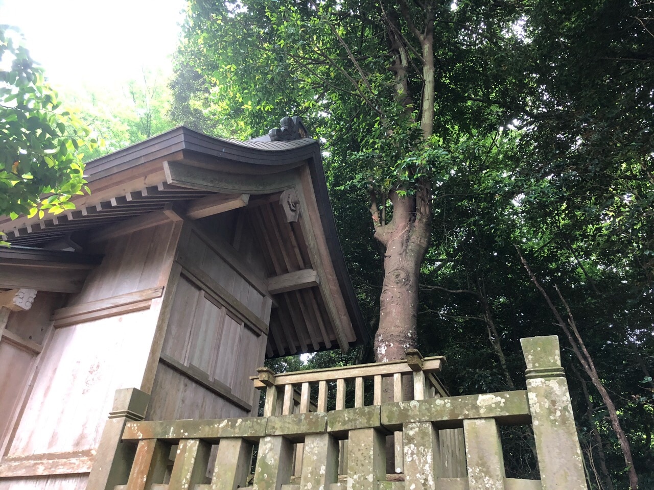 伊努神社と蘆高神社｜ミカツヒメ終焉の地に残るラブストーリー